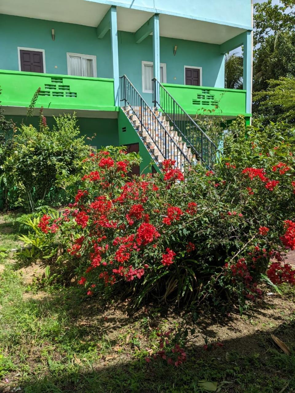 De Kolibrie Appartementen Paramaribo Buitenkant foto